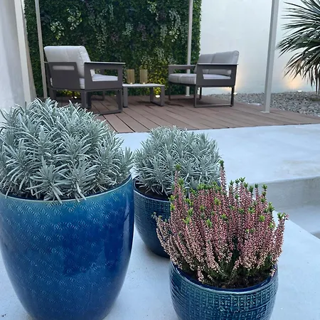 1881 Historical Loft With Garden דירה