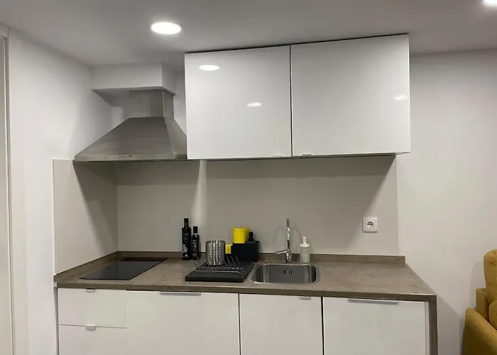1881 Historical Loft With Garden Apartament